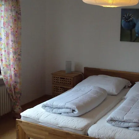 Detached House With Sauna 50m From Lifts Holiday home
