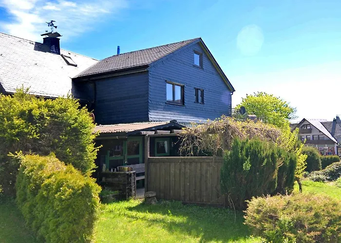 Detached House With Sauna 50m From Lifts Winterberg